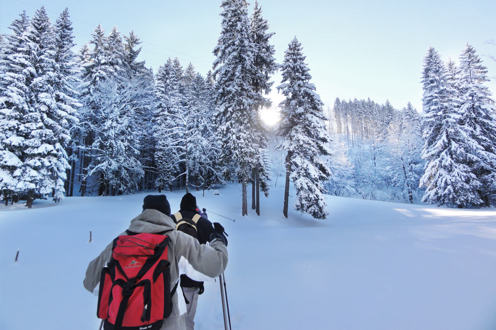 Traumhafte Natur Berghuette Mit Schneeschuhtour