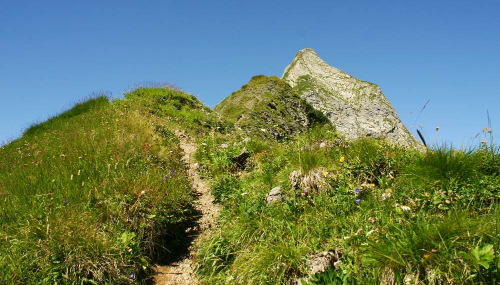 MTB Tagestouren