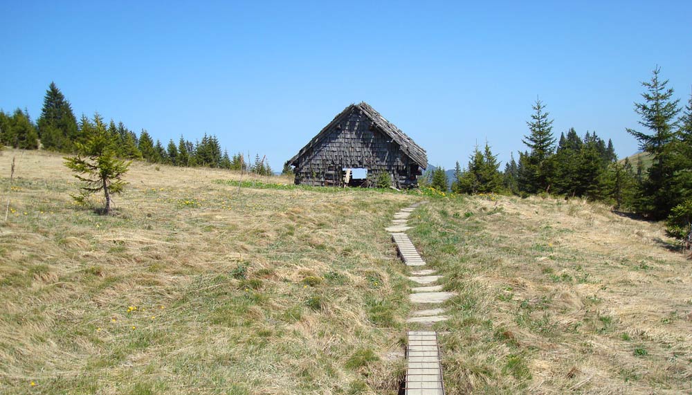 Trail Tage Allgäu