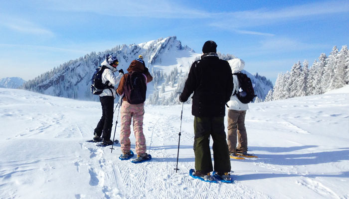 Schneeschuhwanderung Halbtagestour