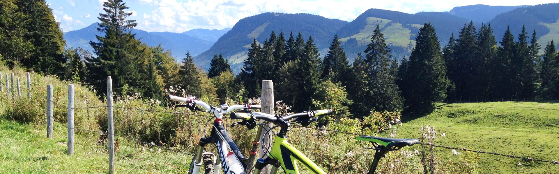 mtb lexikon verschiedenste fachbegriffe aus dem mtb sektor