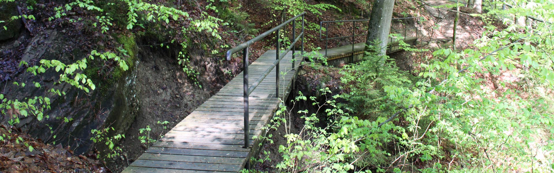 Mountainbiketour über das Steigbachtal zur Starkatsgundalpe ums Immenstädter Horn