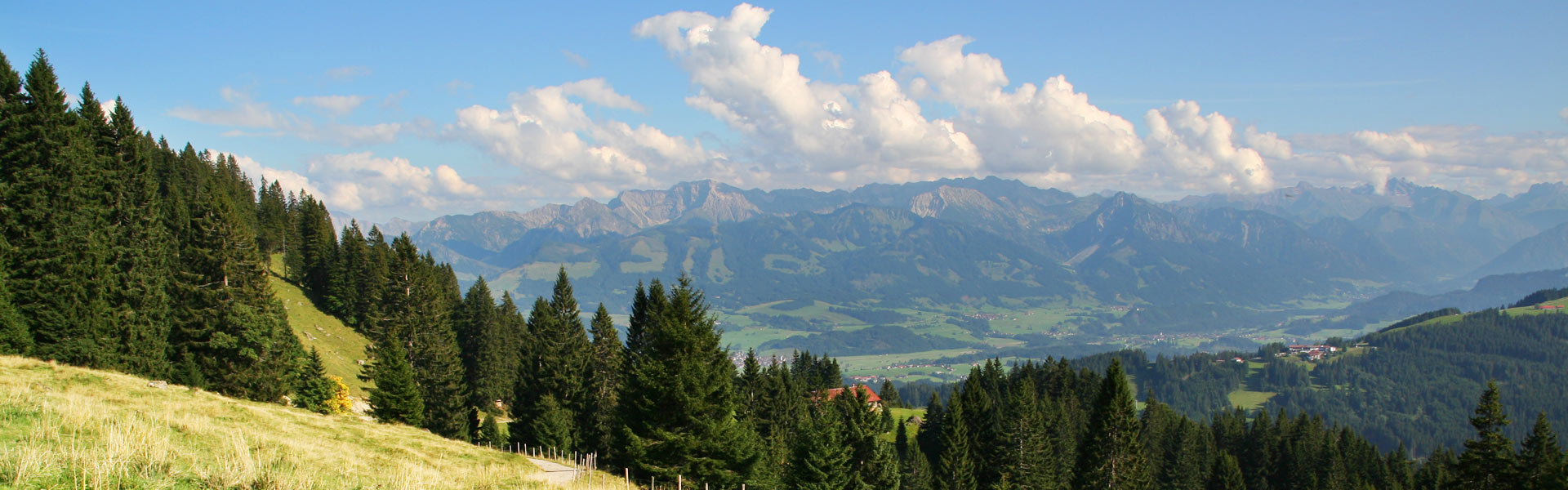 Mit dem MTB auf den Mittag ums Bärenköpfle mit Aussicht über der ganze Allgäu