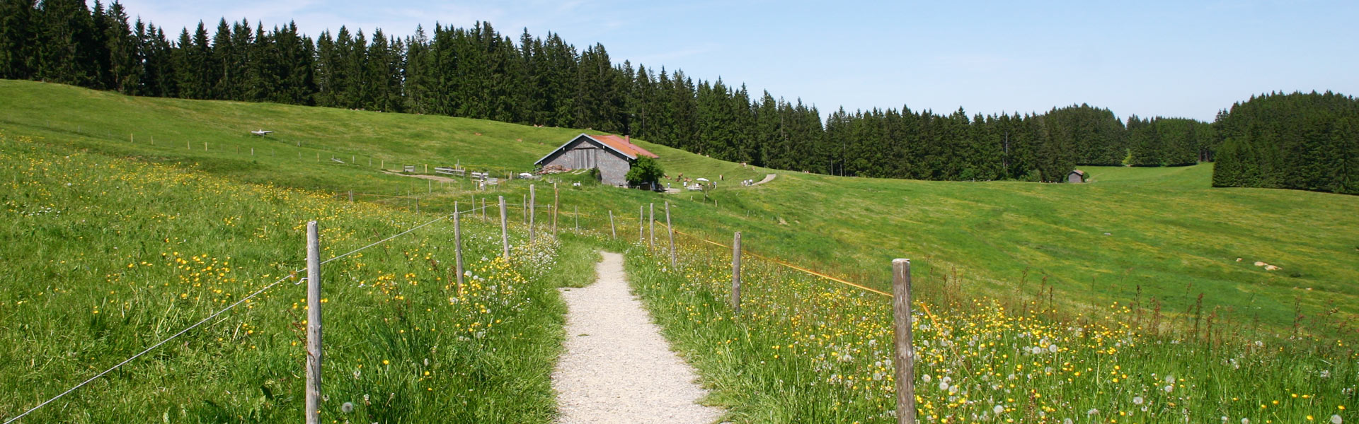 Schöne Mountainbike Tour um die Salmaser Höhe bei Immenstadt