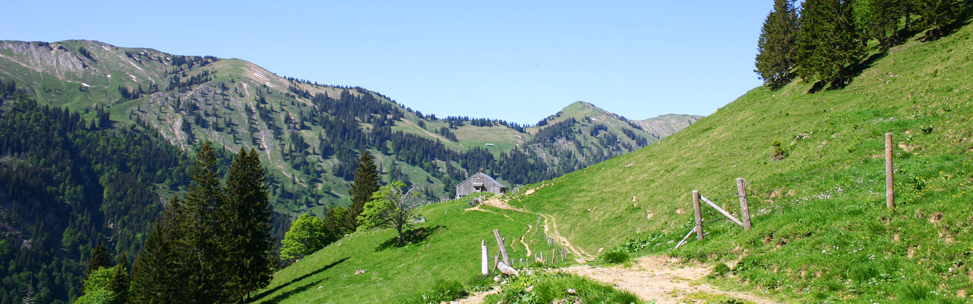 Bei dieser MTB Tour zur Höllritz Alpe hat man eine schöne Aussicht auf das Riedberger Horn und den Riedbergpass