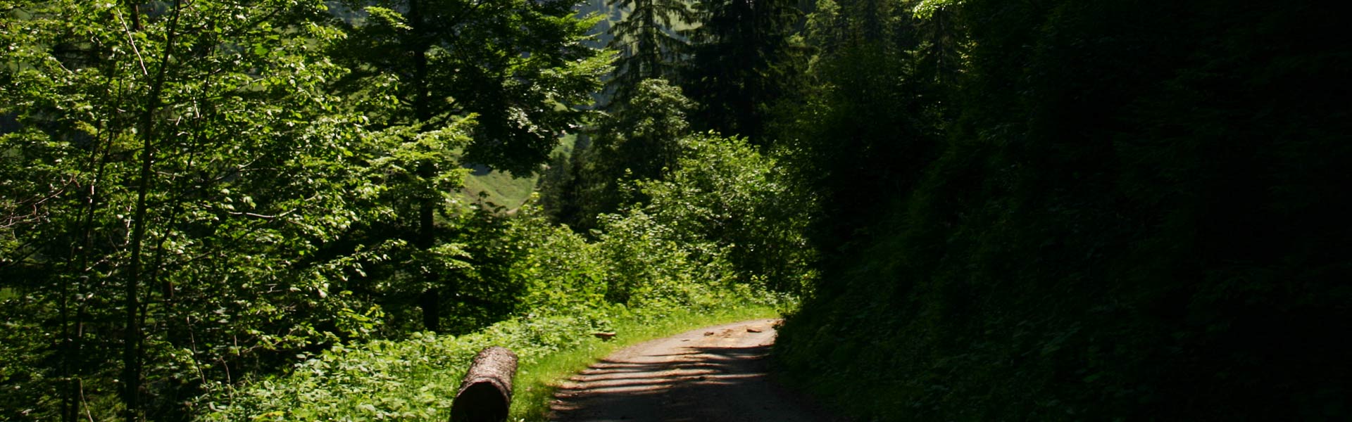 Mountainbike Tour von Immenstadt nach Oberstdorf vorbei am Christlessee ins Traufbachtal