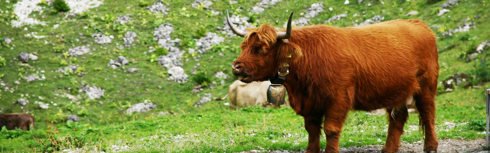 Geführte MTB Tour von Oberstdorf ins Oytal