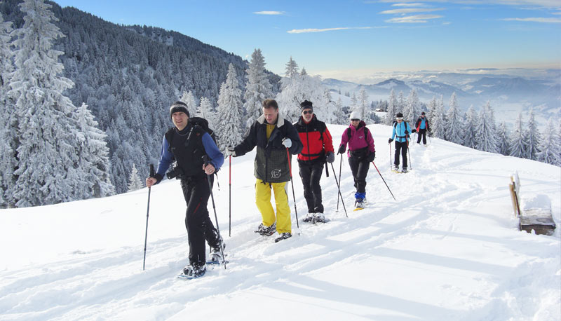 Halbtagestour Schneeschuhwandern