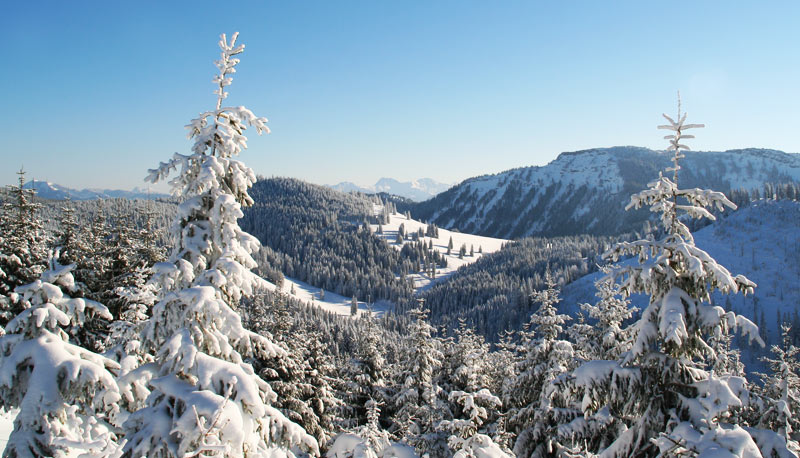 Tagestour Schneeschuhe