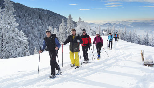 Halbtagestour Schneeschuhwandern