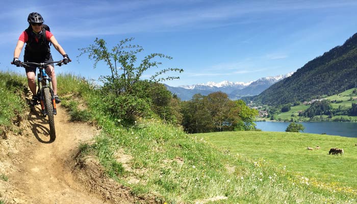 MTB Abendseminar